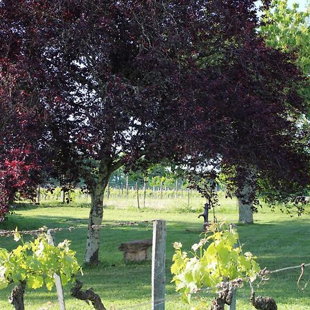 Bed and Breakfast La Vigneraie De Laura Sainte-Colombe  Zewnętrze zdjęcie